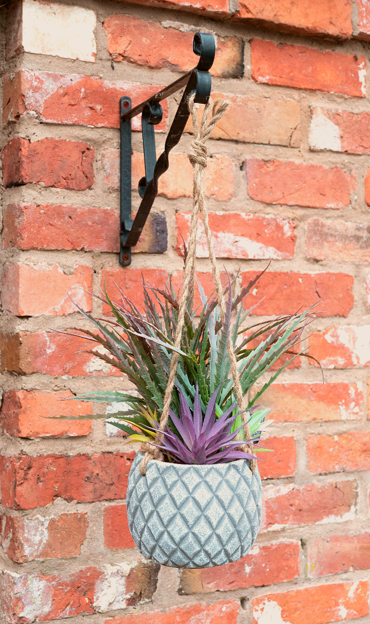 Hanging Succulents in Lattice Design Large Grey Pot